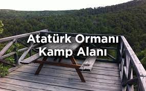 BEYNAM ORMANLARI