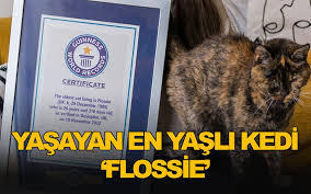 Dünyanın En Yaşlı Kedisi Flossie