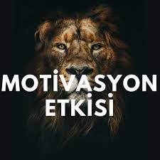 Motivasyon Nedir ve Onu Nasıl Geliştirebilirsiniz?