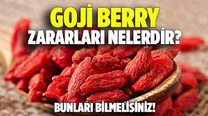 Şifa Kaynağı Kurt Üzümü Goji Berry Faydaları Nedir