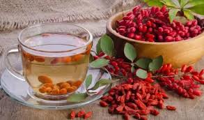Şifa Kaynağı Kurt Üzümü Goji Berry Faydaları Nedir