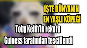 Dünyanın En Yaşlı Köpeği TobyKeith