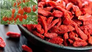 Şifa Kaynağı Kurt Üzümü Goji Berry Faydaları Nedir