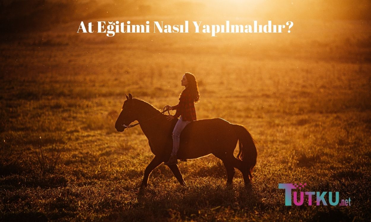 At Eğitimi Nasıl Yapılmalıdır?
