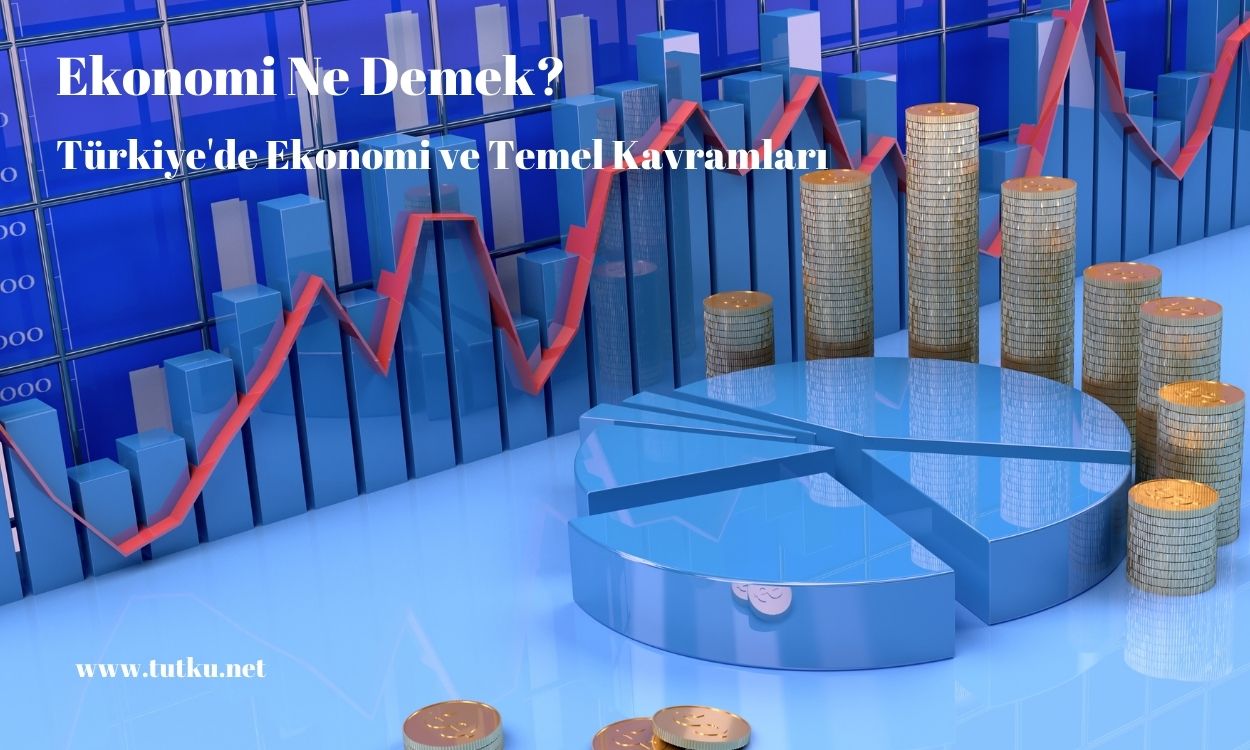 Ekonomi Ne Demek?
