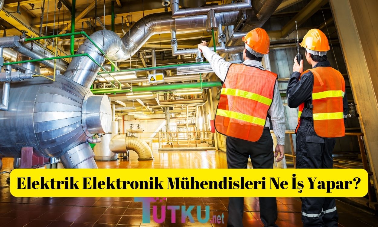 Elektrik Elektronik Mühendisliği Ne İş Yapar?