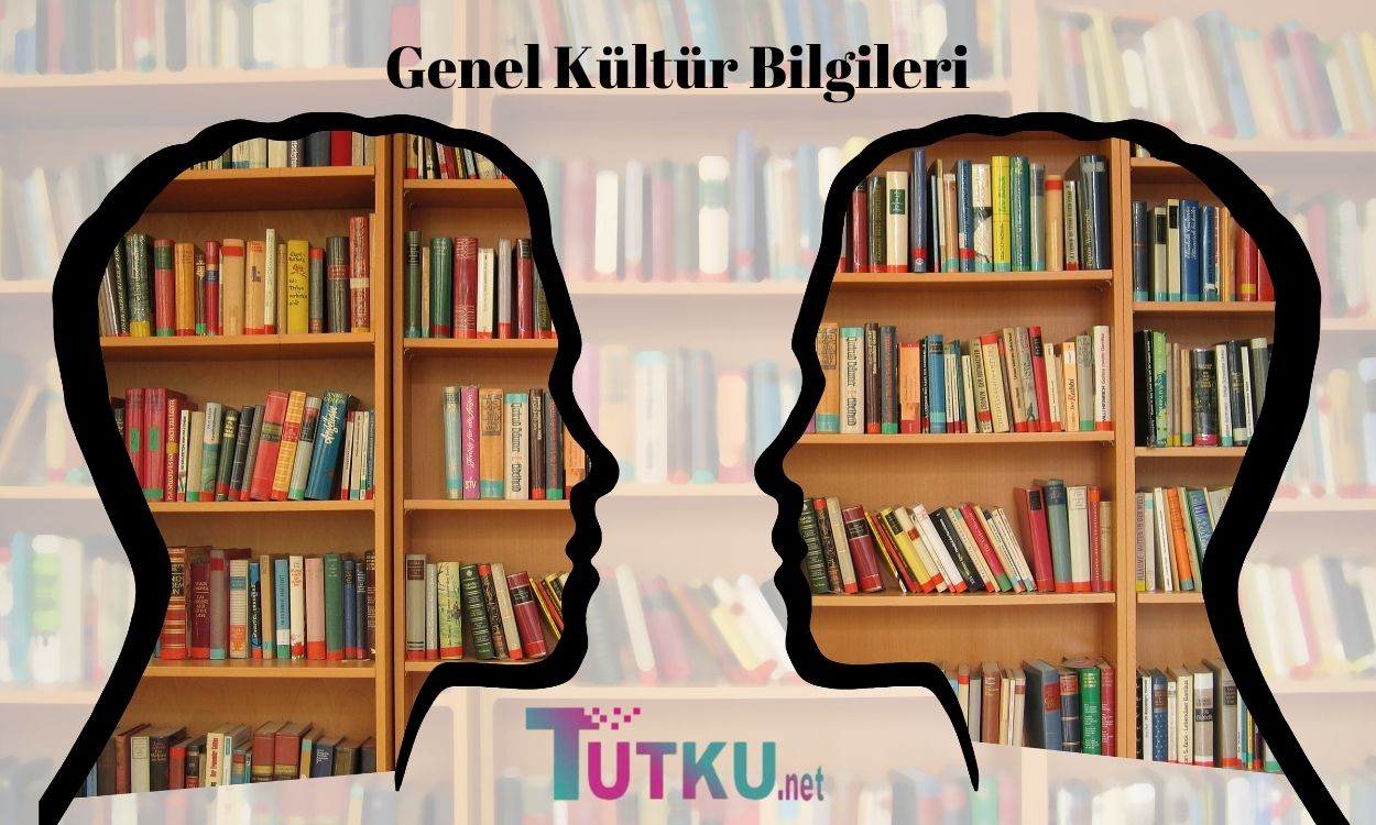 Genel Kültür Bilgileri