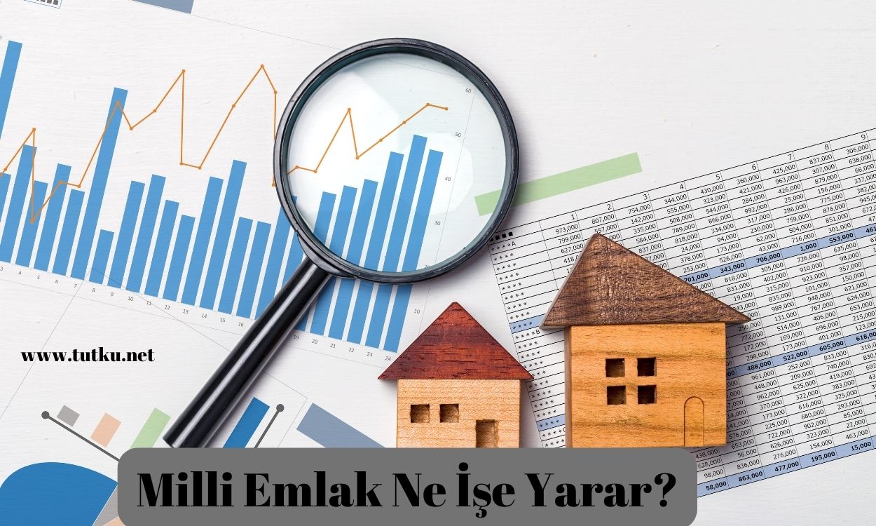 Milli Emlak Ne İşe Yarar?