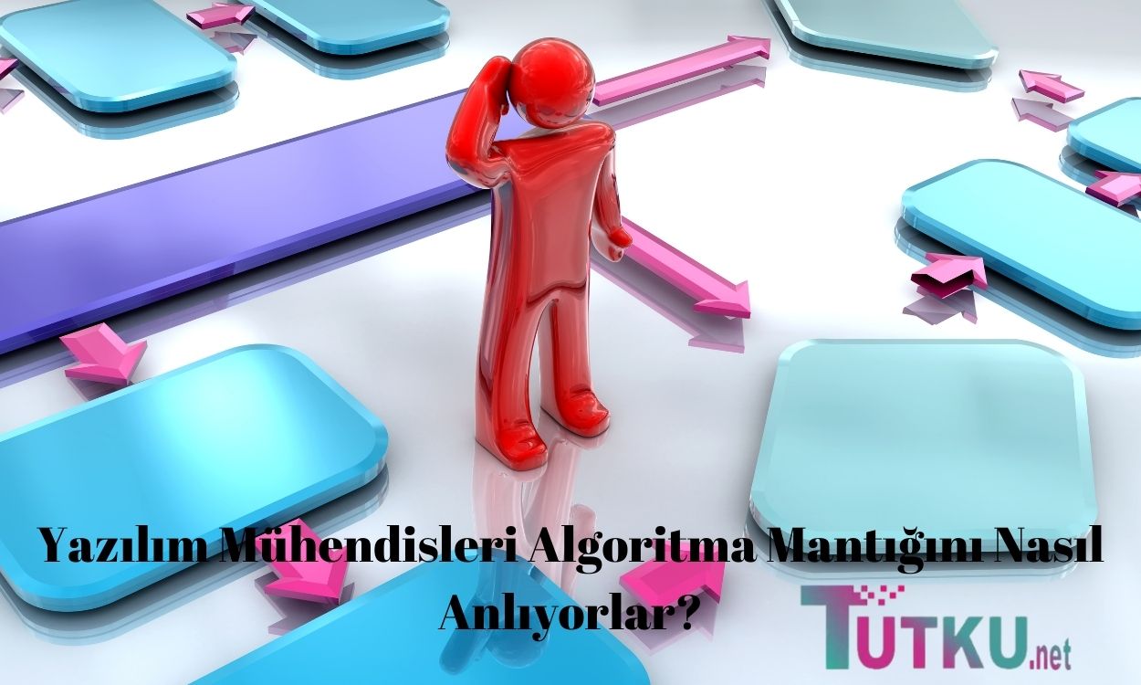 Yazılım Mühendisleri Algoritma Mantığını Nasıl Anlıyorlar?