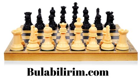 Genel Kültür: Bilinmesi Gerekenler